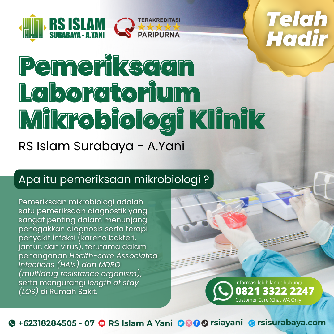 Mikrobiologi-Klinik-rsi.png