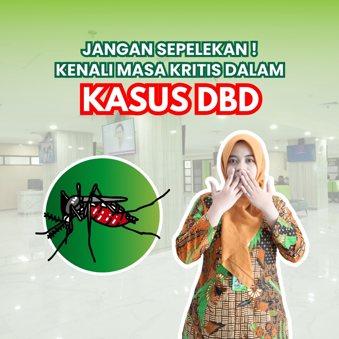jangan-sepelekan-kenali-masa-kritis-dalam-kasus-dbd.jpeg