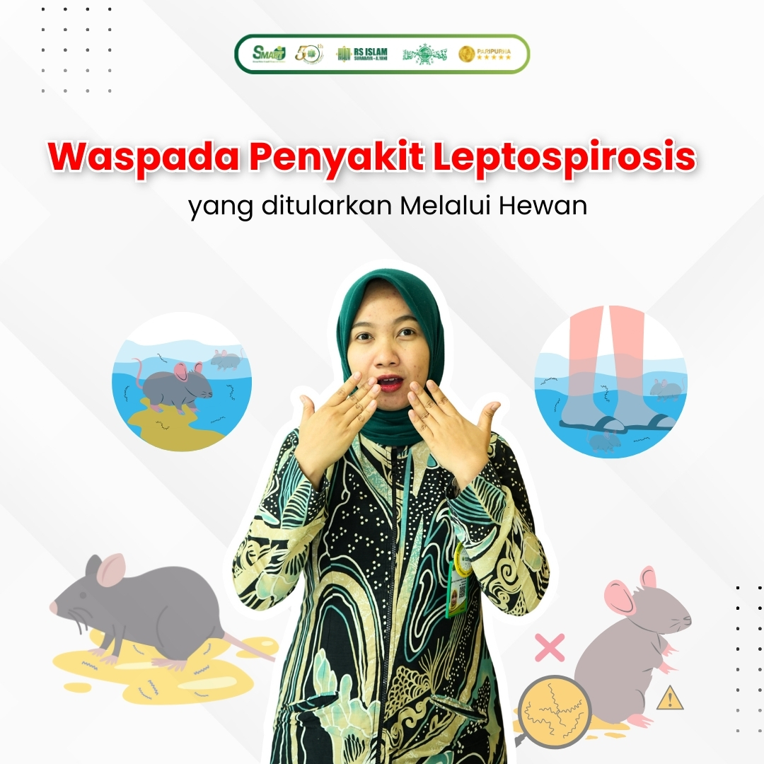 Waspada-Penyakit-Leptospirosis.jpeg